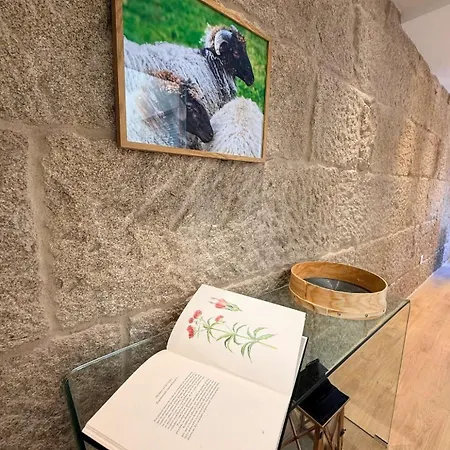 Yourhouse O Canelar Apartman *